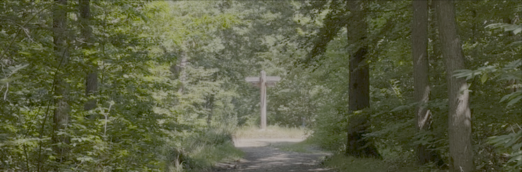 A clearing in a sunlit forest with a crossroads and a sign post